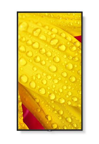 M551-2 55IN UHD 500CD/QM LED 24/7 SDM CM